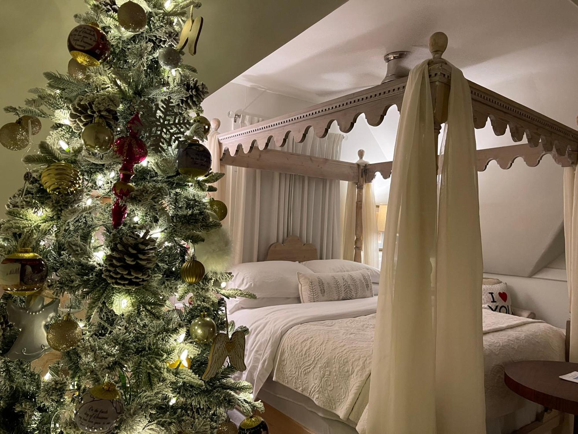 Chesnut Cottage Inn Bed & Breakfast Columbia Bagian luar foto